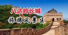逼干逼免费视频中国北京-八达岭长城旅游风景区